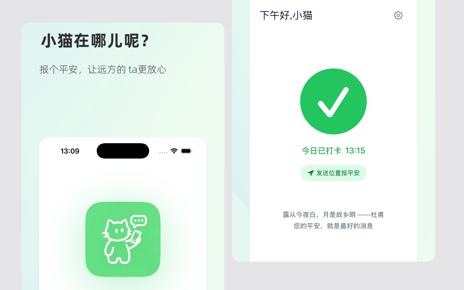 小猫到家